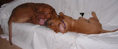 Ben and Shelby at play