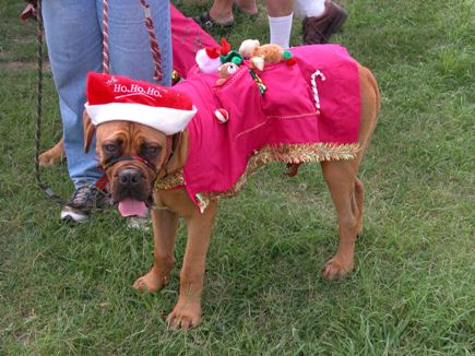 Connor's first Christmas.