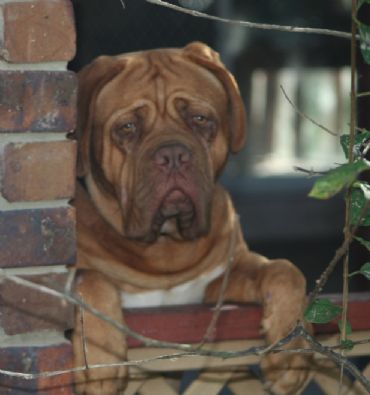 Looking thoughtful.
