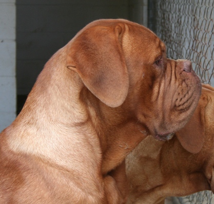 Nate's head in profile.