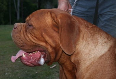 I've got a big mouth.