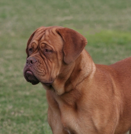 Tobias looking serious.