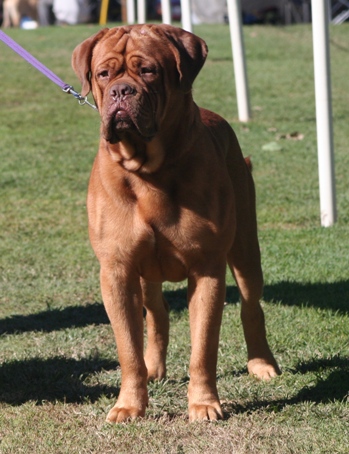 Tobias looking thoughtful.