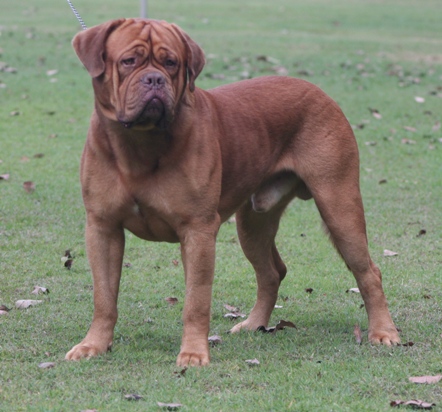 There are more interesting things to look at than the camera.