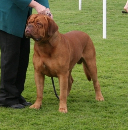 Having a snooze in the General Specials ring.